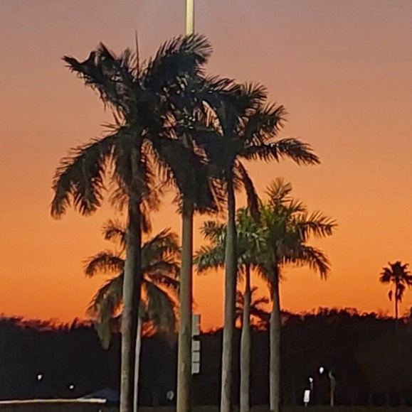 Meet your Posher, Kapturek - Picture 4 of 4